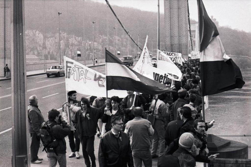 A FIDESZ csoportja az Erzsébet hídon, útban a Március 15. tér felé